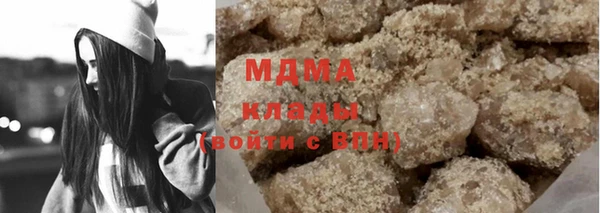 хмурый Белокуриха
