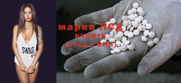 хмурый Белокуриха