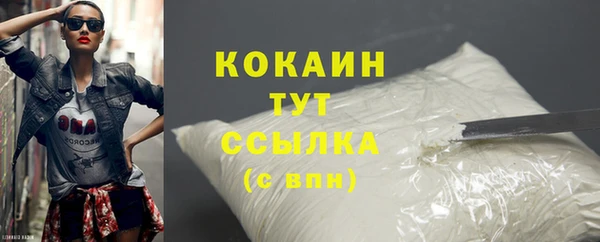 хмурый Белокуриха