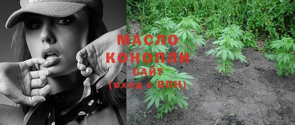 хмурый Белокуриха