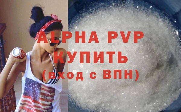 хмурый Белокуриха