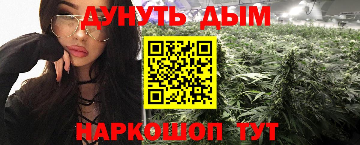 Бошки марихуана SATIVA & INDICA  Гулькевичи  Конопля конопля 